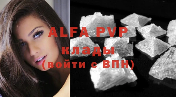 шишки Киренск