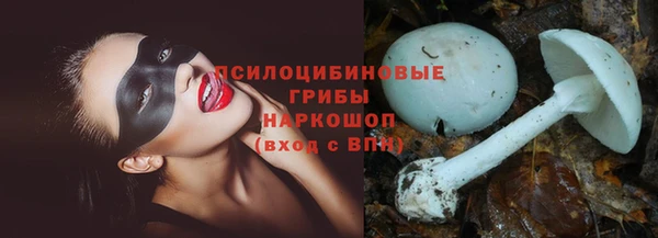 шишки Киренск