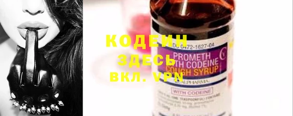 шишки Киренск